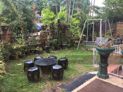 Coral Park (D20), Semi-Detached #144807302